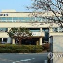 금강청과 이미지