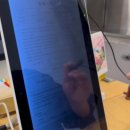 산본제일병원 | 산본제일병원 출산 후기｜유도분만→제왕절개 (전치태반 유착?!) + 잠복고환, 신생아딤플