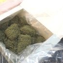강릉보육원 | 강릉 중앙시장 맛집 말랑곳간 카스테라와 쑥인절미 가족과 함께 즐겼어요.