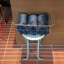 미락 | 진주 카페 추천, 미락ㅣ에그타르트 맛집 내돈내산 미락카페후기