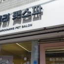 릴리 펫스파 이미지