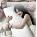애니바디 - 12586 | 꿀잠 보장! 코트니 다키마쿠라 애니 바디필로우 사용 후기 (160x50)