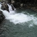 밤골농장 이미지