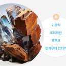 약손온누리약국 이미지