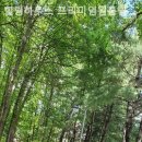 원룸텔힐링하우스