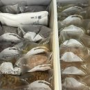 무지개떡방앗간 | 제주 오메기떡 맛집 수라간떡방 또간집 솔직후기