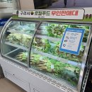 무인신선