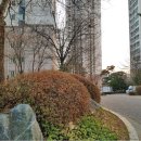 반송조은약국 이미지