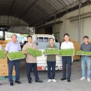 농소농업협동조합 이미지