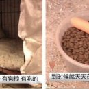 주인집 이미지