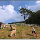 더불어목장 이미지