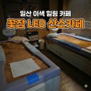 결벽증카케어 | 일산 이색 힐링 카페 꽃잠 LED 산소카페 , 90분 풀코스 힐링룸에서 나에게 집중하는 시간