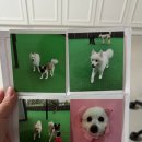 놀러오개 불로점 이미지