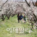 천지농원 이미지