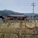 서오# | 경주 카페 서오 & 이요당 후기｜한옥 감성 + 산책 코스까지 완벽