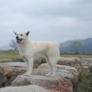 호인축산 이미지