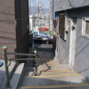 외나무탕