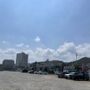 [충남 서산맛집] 미래수산식당 - 광어회 한마리를 얹어주는 15,000원 회덮밥 맛집