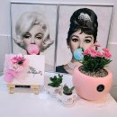 루시피트니스 | [구미 옥계 여성PT] 루시피트니스 후기 — 몸의 변화를 넘어 삶의 활력까지