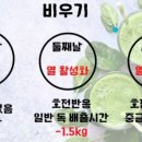 피엠다이어트주스