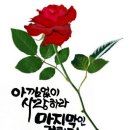 멋진하루 이미지