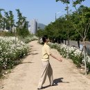 연화방제과 | 어린이날