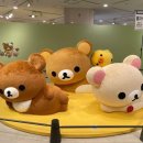 레코드가게 이미지