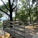 강화도아침숲속캠핑장 이미지