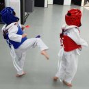 태현태권도장 이미지