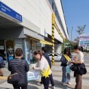 상록수