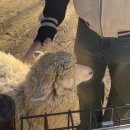 연화목장 이미지