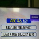 몸신 내장지방 빼주는 ABC주스 만들기 이미지