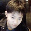 개귀여워 이미지