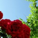 지혜의 소나기 이미지