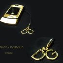 D&G 이미지