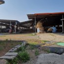 청통면사무소 이미지