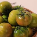 토마토2 이미지