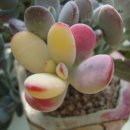 우혁농장 이미지