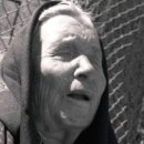 바바나무 이미지