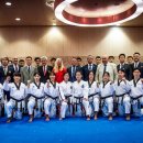 비상태권도 이미지