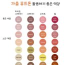 뮤트뷰티 이미지