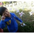 숲속연세유치원 이미지