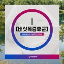 쌍문마디튼튼의원 이미지