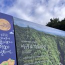 가멍오멍 | 제주도 숲길 추천 (서귀포 치유의 숲) 사전예약 필수, 입장료, 소요 시간, 코스 추천