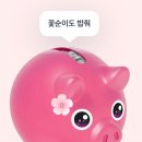 [앱테크] 토스 꽃돼지 이벤트 성공 후기 (성공하려면 몇명 ?)