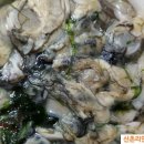 오뚜기미용실 - 달성군 화암로 67 | 오뚜기미용실