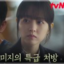 미지 이미지