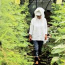 김현숙농장 | 두물뭍농부시장 전시회 -밭에서 피어나는 향기, 김현숙 농부님