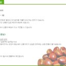 공주농장 이미지