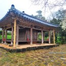 만취정 | &lt;한국누정298&gt; 광주 만취정(晩翠亭) 240403